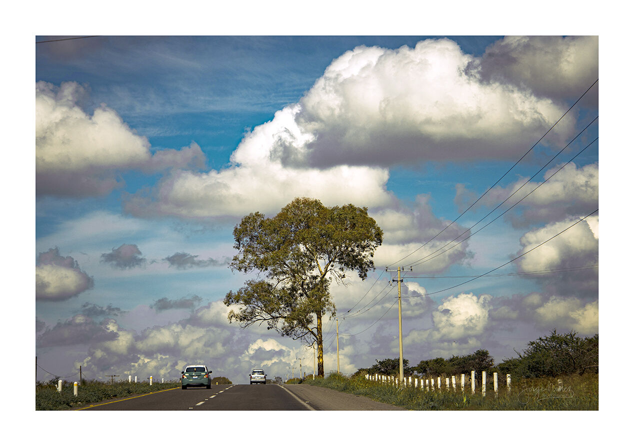 Proyecto14 by Jorge Núñez-Fotografía - jng-2253-edit.jpg