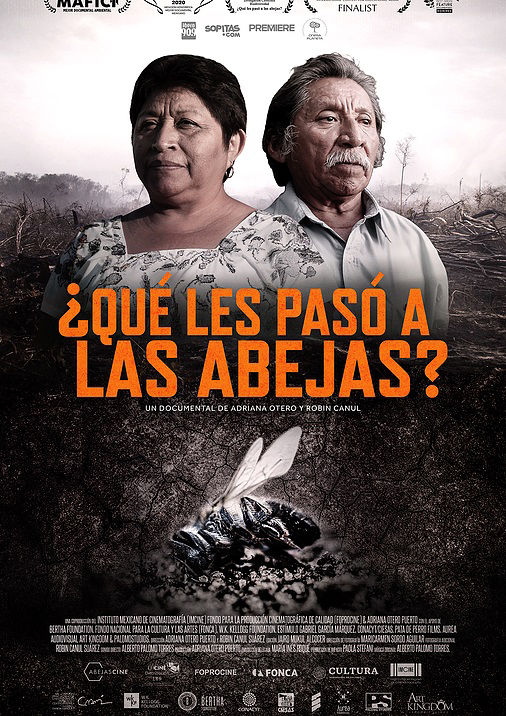 Proyecto14 by Jorge Núñez-Fotografía  - poster-abejas-2021-tabloide.jpg